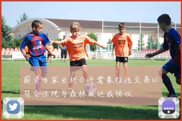 薪资专家分析公牛需象征性交易以符合法规与森林狼达成协议