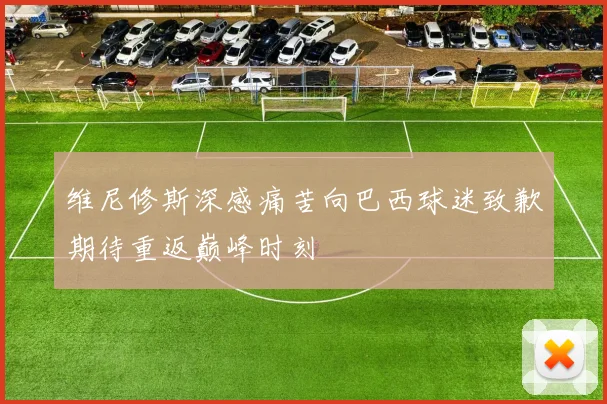 维尼修斯深感痛苦向巴西球迷致歉期待重返巅峰时刻